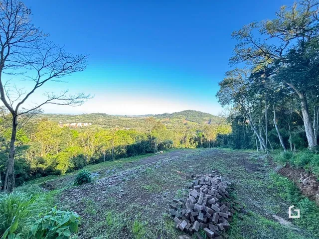 Terreno, foto 2