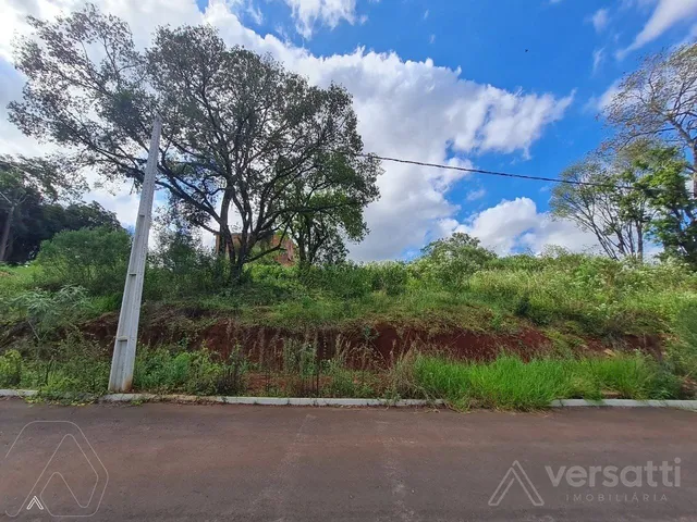 Terreno, foto 3