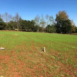 Terreno, foto 3