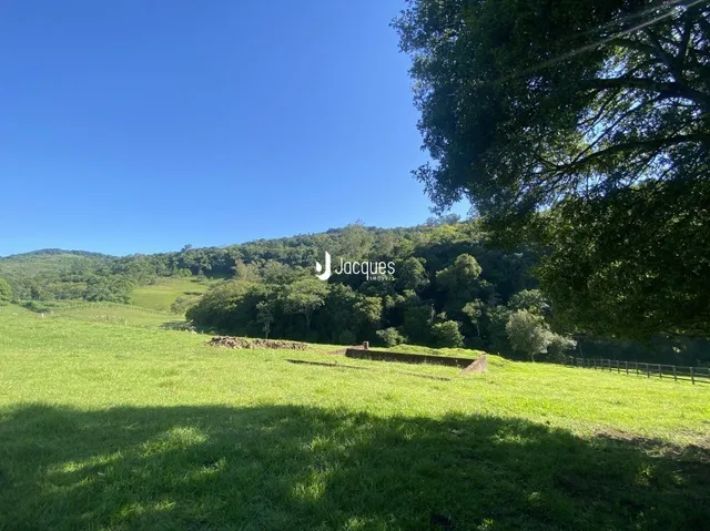 Paisagem de campo verde com árvores e cerca em Lajeado.