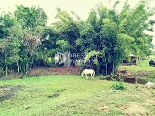 Área rural, foto 8