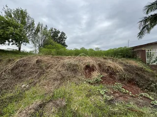 Paisagem de terra e vegetação alta em uma área externa sob um céu nublado.