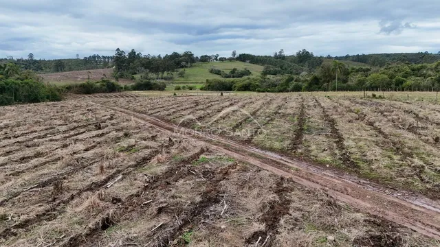 Vista de uma área de campo seca com trilhas de terra em Lajeado, Brasil.
