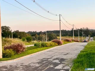 Terreno, foto 5