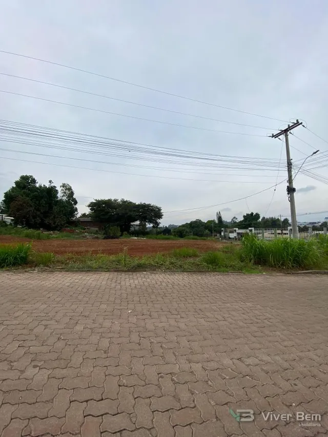 Terreno, foto 2