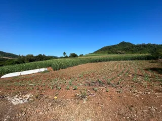 Área rural, foto 4