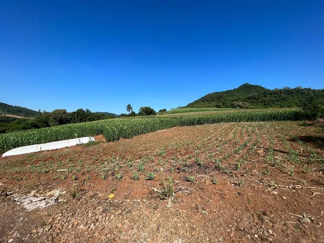 Área rural, foto 4