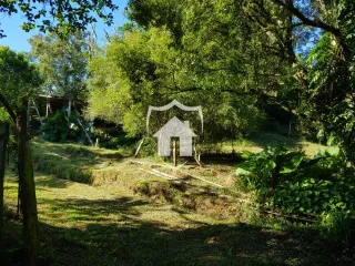Área rural com 6 dormitórios, foto 10