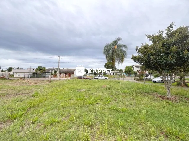 Vista externa de uma propriedade com gramado e vegetação ao ar livre.