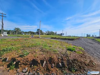 Terreno, foto 3