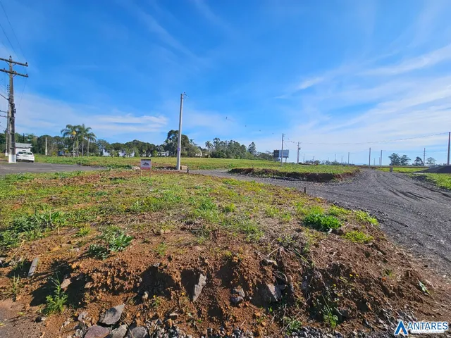 Terreno, foto 3
