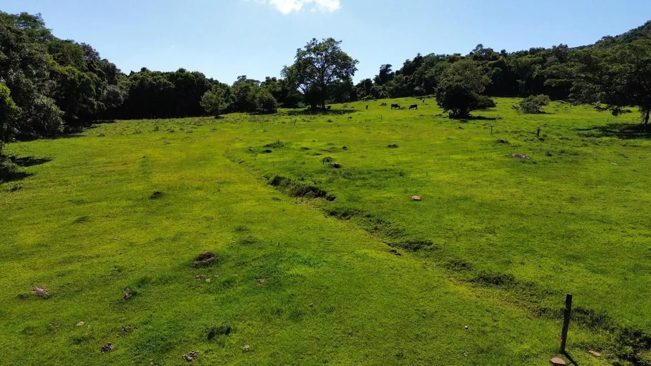 Área rural, foto 1