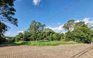 Terreno, foto 1