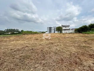 Campo de grama seco em frente a residências.