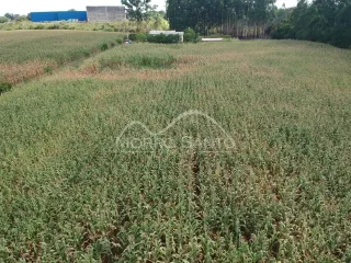 Área rural, foto 6