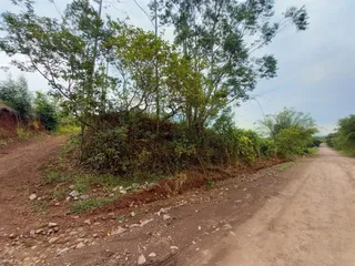 Terreno, foto 4