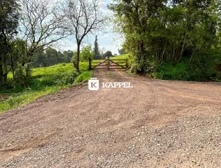 Foto da estrada de terra que leva a um portão em uma área arborizada.