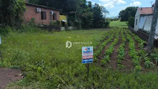 Terreno, foto 2