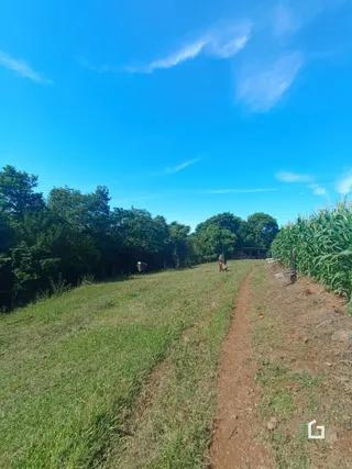 Terreno, foto 15