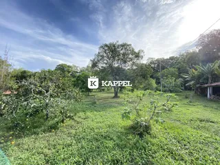 Vista externa de um terreno com grama e vegetação sob um céu aberto.