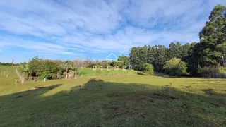 Área rural com 3 dormitórios, foto 7