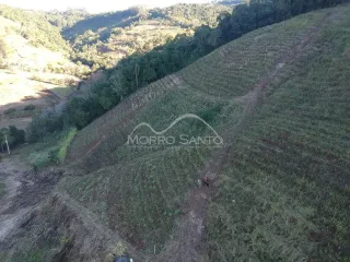 Vista aérea de colinas com vegetação em Lajeado.