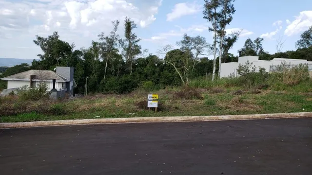 Vista externa de uma rua com vegetação densa ao fundo.