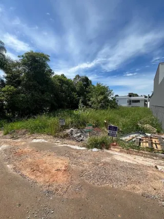 Terreno, foto 1