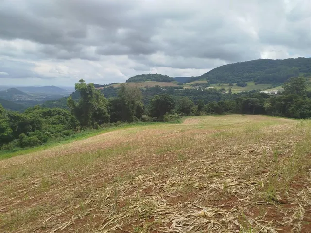 Área rural, foto 3