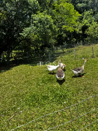 Área rural, foto 12
