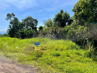 Vista da propriedade com gramado e vegetação densa.