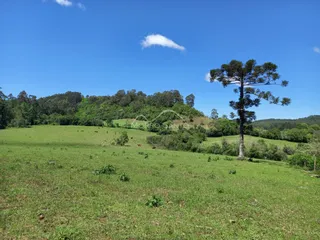 Área rural, foto 12