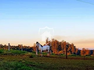 Área rural com 3 dormitórios, foto 20