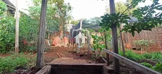 Casa com 3 dormitórios, foto 9