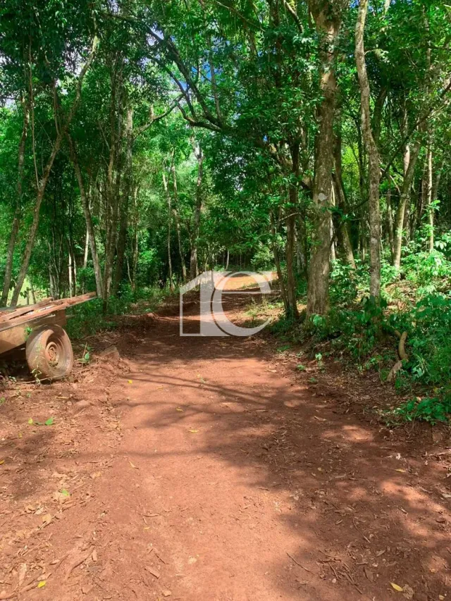Área rural, foto 3