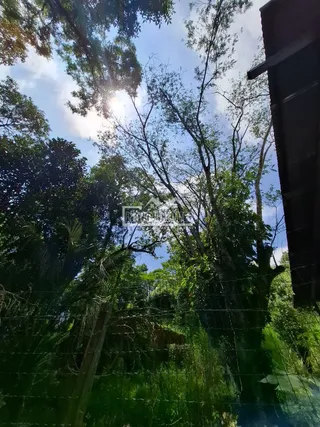 Área rural com 5 dormitórios, foto 12