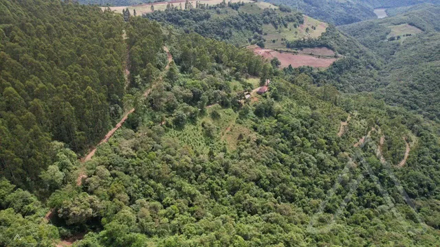 Área rural