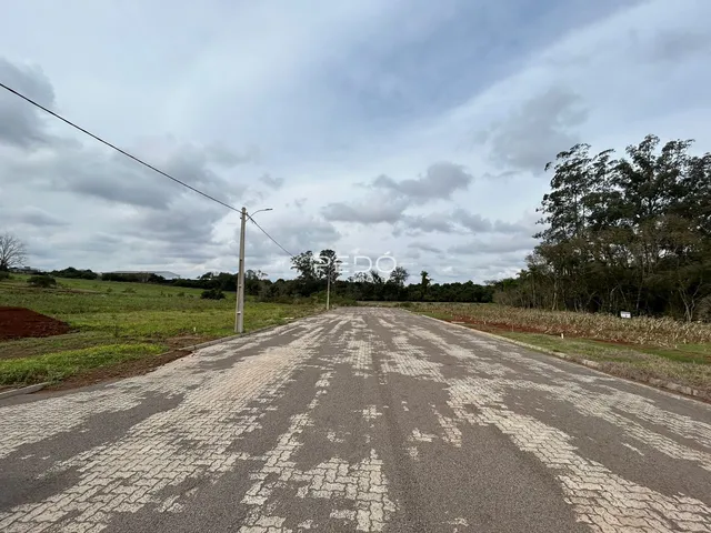Vista da estrada rural que se estende pela propriedade em Lajeado.