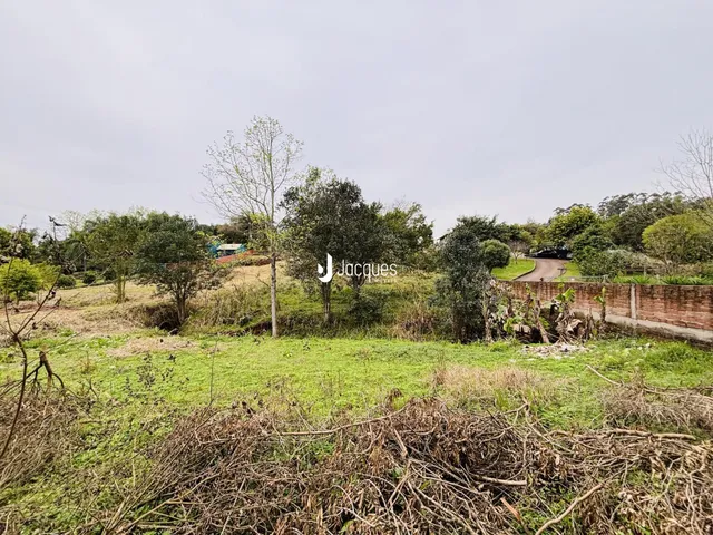 Paisagem de campo com vegetação e estrada de terra em Lajeado.