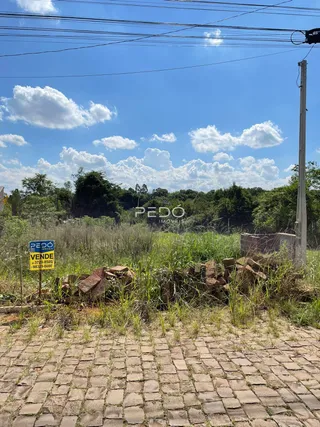 Vista externa de um terreno com vegetação alta.
