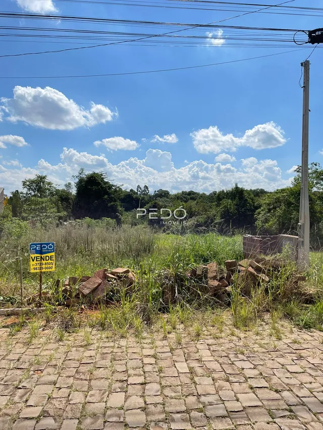 Vista externa de um terreno com vegetação alta.
