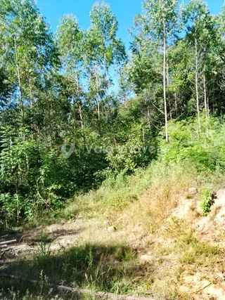 Área rural com 2 dormitórios, foto 7