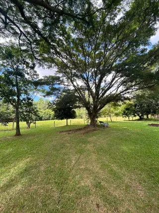 Área rural com 4 dormitórios, foto 28
