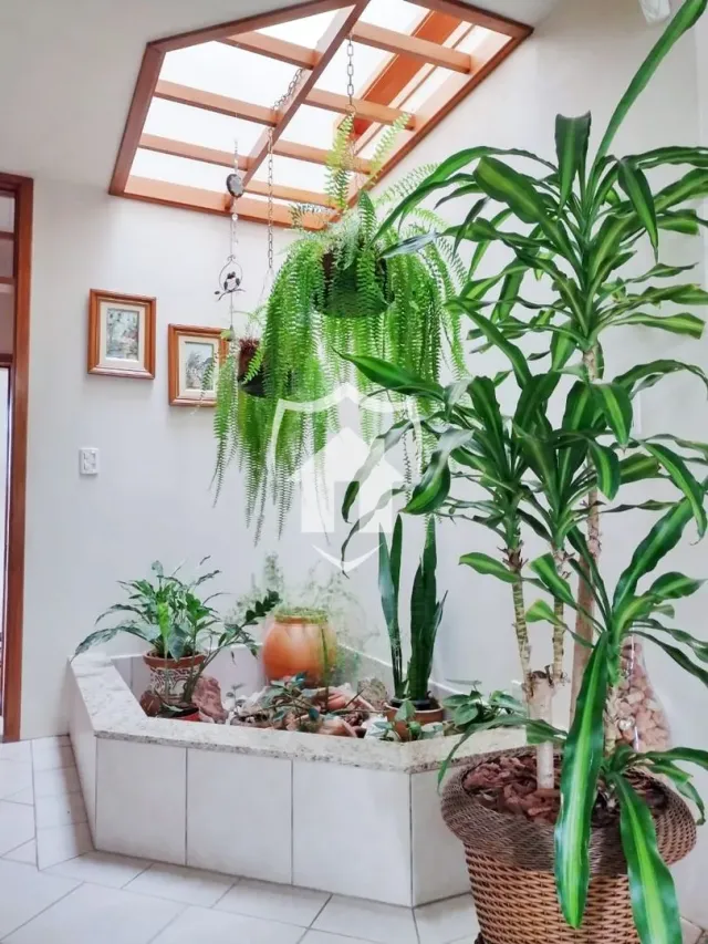 Casa com 3 dormitórios, foto 3