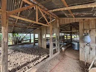 A foto mostra o interior de uma estrutura rústica em construção com vigas de madeira expostas.