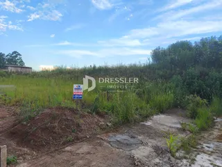 Terreno, foto 3