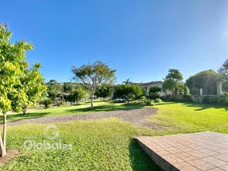 Vista externa de um jardim verde com árvores sob um céu azul.