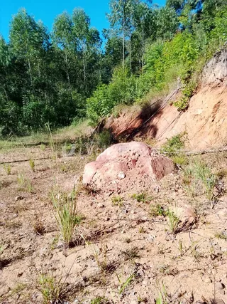 Área rural com 2 dormitórios, foto 10