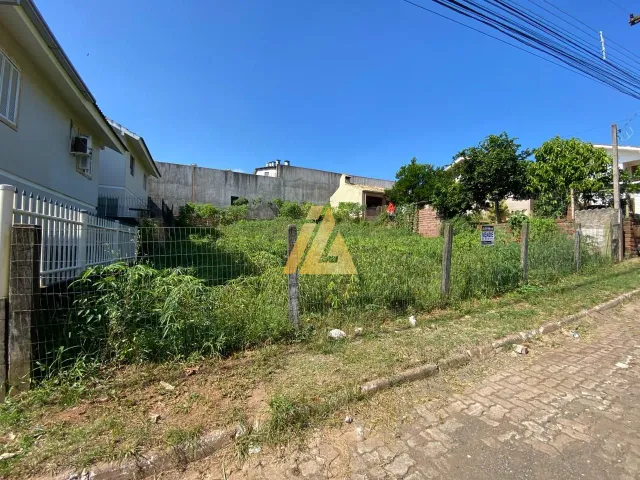 Terreno, foto 3