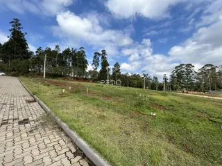 Vista da propriedade com gramado e estrada ao lado.